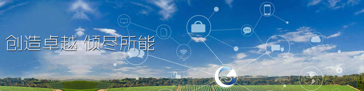 海南國(guó)政科技有限公司